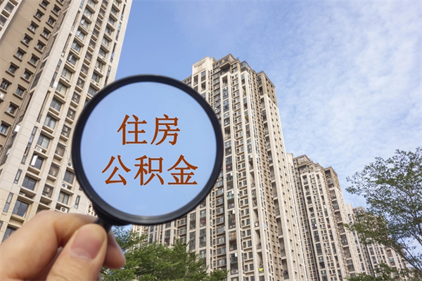肇州离职后公司不给转公积金怎么办（离职后公司不给转社保怎么办）